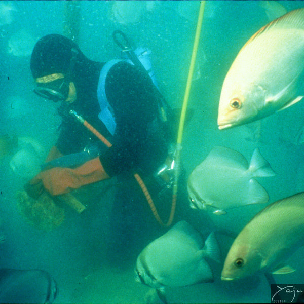 'Diving For Pearls' - Necklace No.36