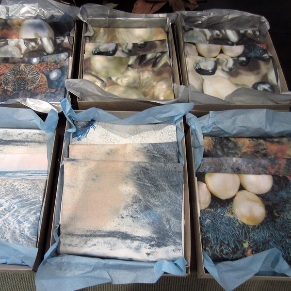 'Broome Pearls & Crab' - Tea Towel No.1