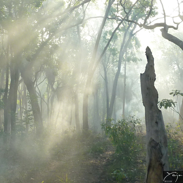 'Afternoon Light' - Silk Jacket No.19